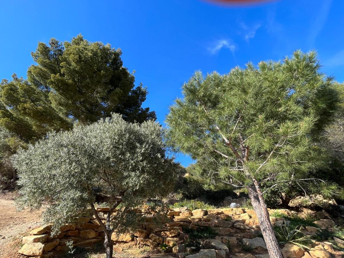 Villa Avec Jacuzzi Sur Les Hauteurs De La Ciotat Ceyreste Extérieur photo